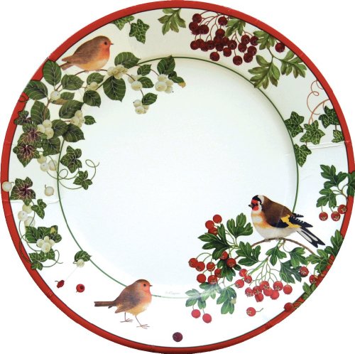 Entertaining with Caspari Winter Birds Paper Dinner Plates, Pack of 8