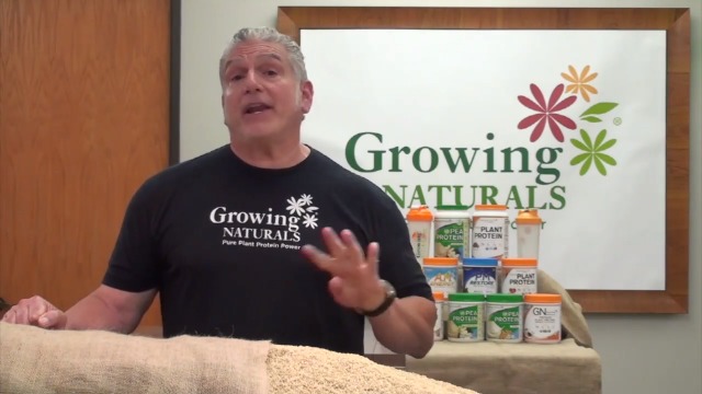 Best Growing Naturals Rice Protein: A Way To Boost Overall Health