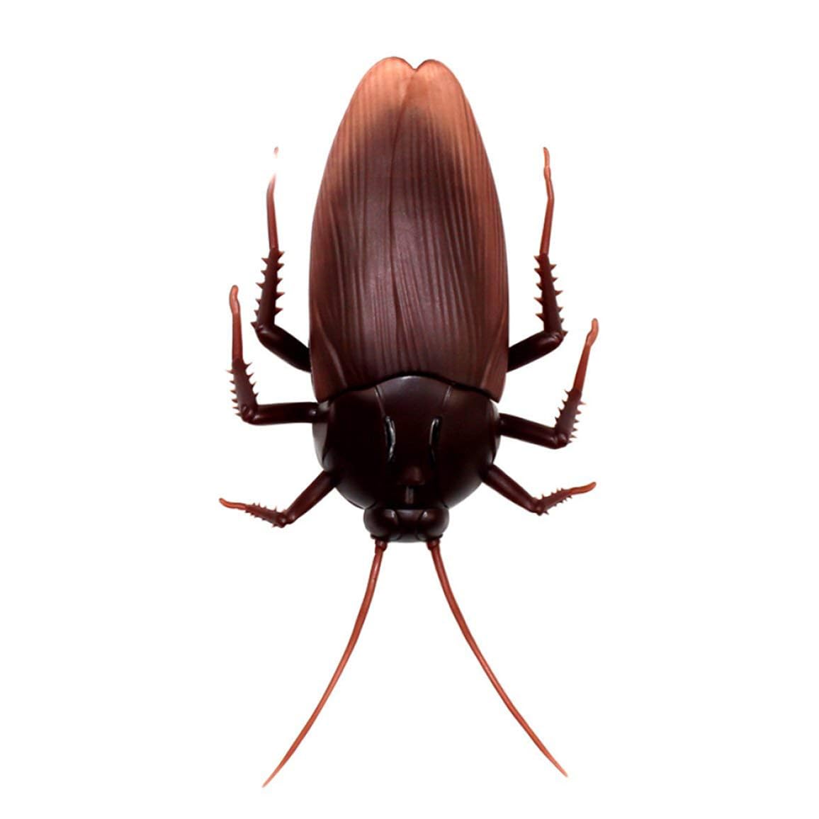 Joygoodta Simulación de cucaracha eléctrica para niños, Control Remoto por Infrarrojos, cucaracha RC, Modelo de plástico, Accesorios para Trucos o