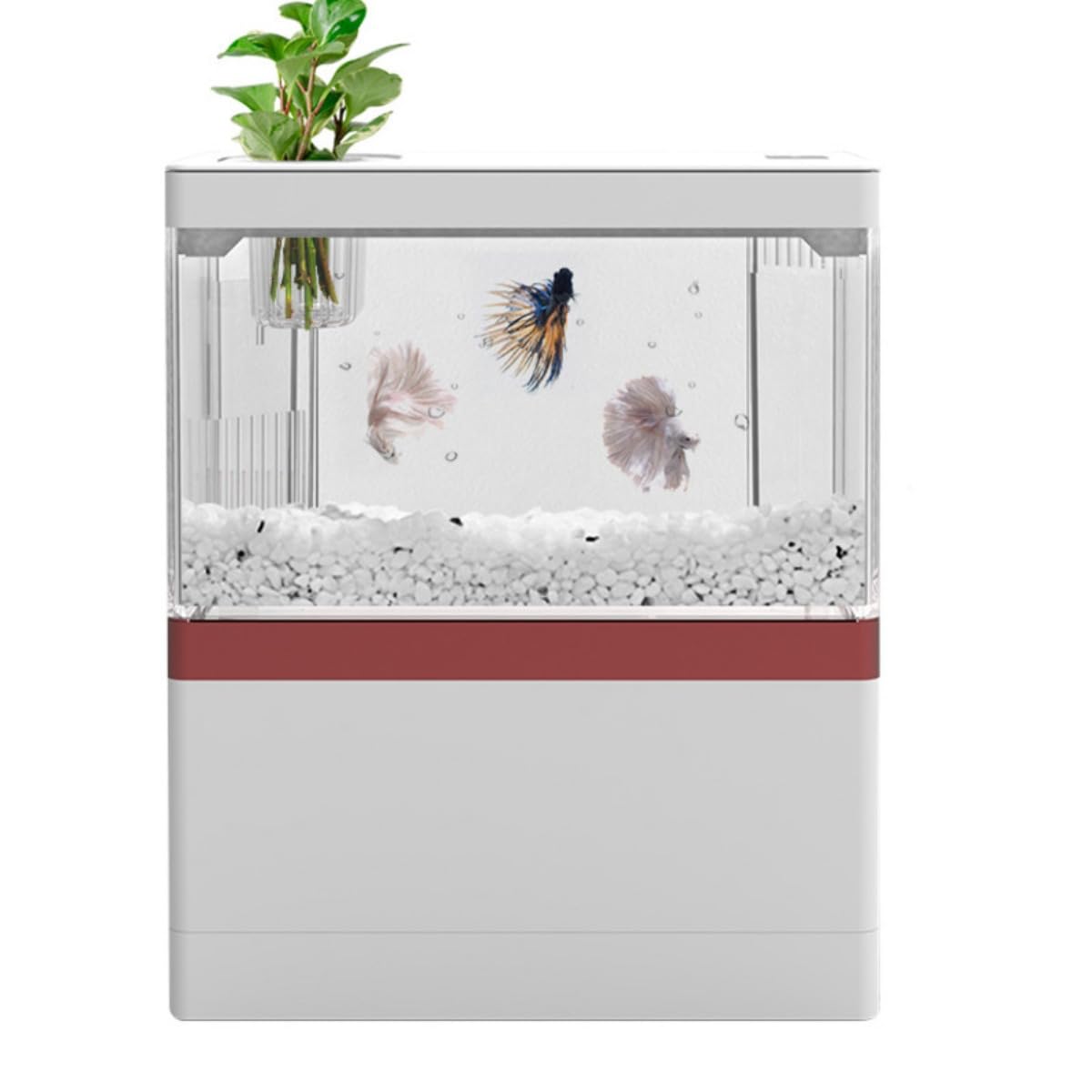 Amazon | GreeMaa 透明アクリル製金魚水槽セット！LED ライト付き 