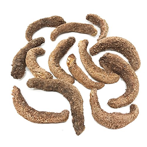 SB Organics Alaskan Red Medium - Wild Caught Sea Cucumber Dried All Natural Nutritious - 8 oz.