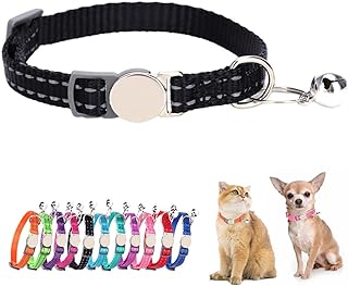 Breakaway Collar For Dogs Picks collage image 4