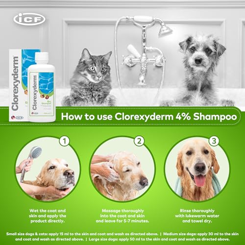 ICF | Clorexyderm 4% Dog Shampoo for Itchy Skin Relief | Anti Itch + Antifungal + Antibacterial Shampoo for Pets with Sensitive Skin 200ml - Image 3