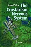 The Crustacean Nervous System