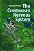 The Crustacean Nervous System