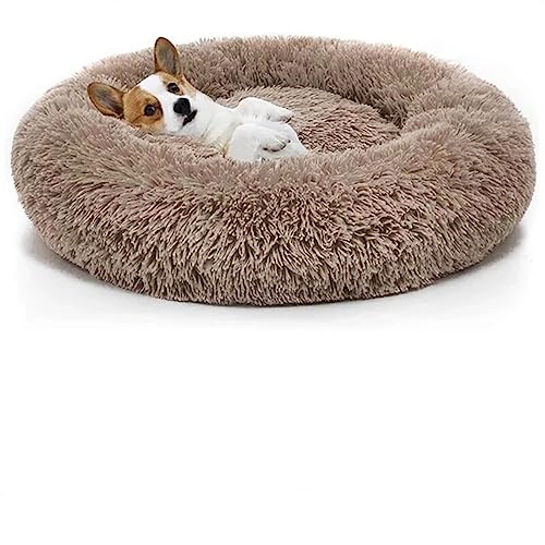 Cama Caminha Para Gatos E Cachorros Pets, Pelúcia, Redonda, Nuvem, Porte Médio, Macia E Confortável,
