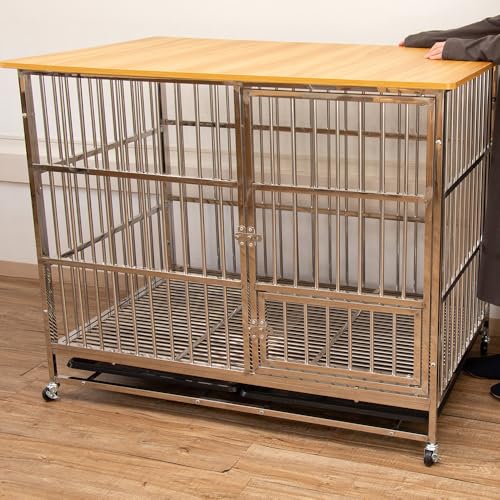 ^ Q[W P[W t ybgP[W y^/LX^[/gCg[t/XeXz (MTCY)