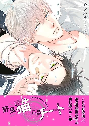 野良猫にチート 1【電子限定かきおろし付】 (ビーボーイコミックスDX)
