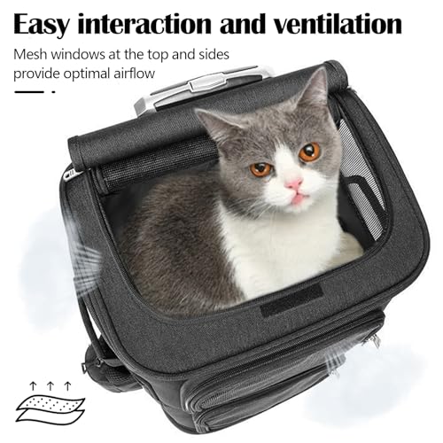 Katzenrucksack, Katzentrager Rucksack mit Zwei Fächern Haustier Hunde Katzen Rucksack Raumkapsel mit abnehmbaren Rädern Rucksack für 2 kleine Katzen Hunde und Kaninchen