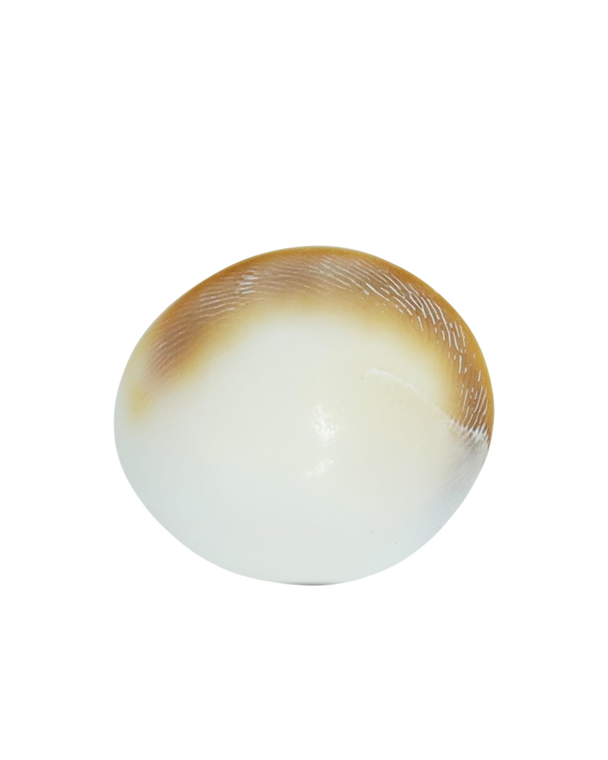 Original Gomti Chakra 4 cm Big Natural Gomti Chakra from Gomti River Dwarka for Vastu Dosh Nivaran Puja Wealth Prosperity Feng Shui (1 Piece)-image-46