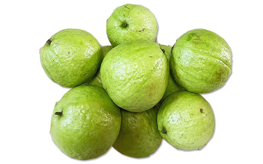 Amazon.co.jp: MDSTORE 沖縄グリーングアバ・Okinawa green guava・Ổi