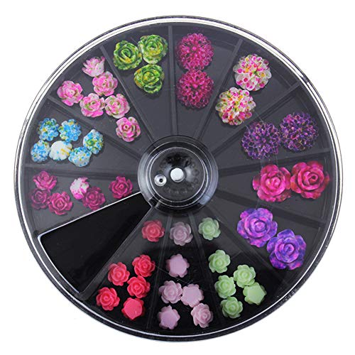 Amorar Nail Art Pierres Strass Set Rose Fleur Décorations pour Les Ongles Mixte Paillettes Art Strass Nail Art Roues De Manucure Brillant DIY Strass Cristal Diamant Téléphone Nail Art Décoration Cover