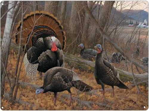 Wild Turkey Vintage Metal tin Sign Art Plaque Wall Decor Look Funny Gifts for Home Kitchen Garage Bathroom Farm Garden Bar Cafe Metal Posters 8x12 Inch