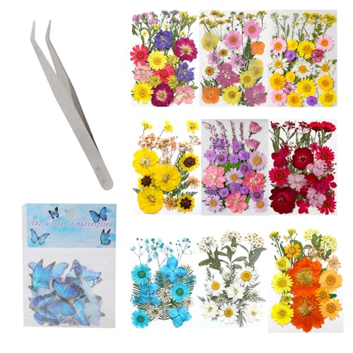205 piezas de flores secas prensadas para artesanía miniatura 6