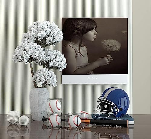 Danodoi BASEBALL-1 Display Case Uv Protected Acrylic Clear Baseball Holder Square Cube Ball Protector Memorabilia Autograph Display Box thumb #2