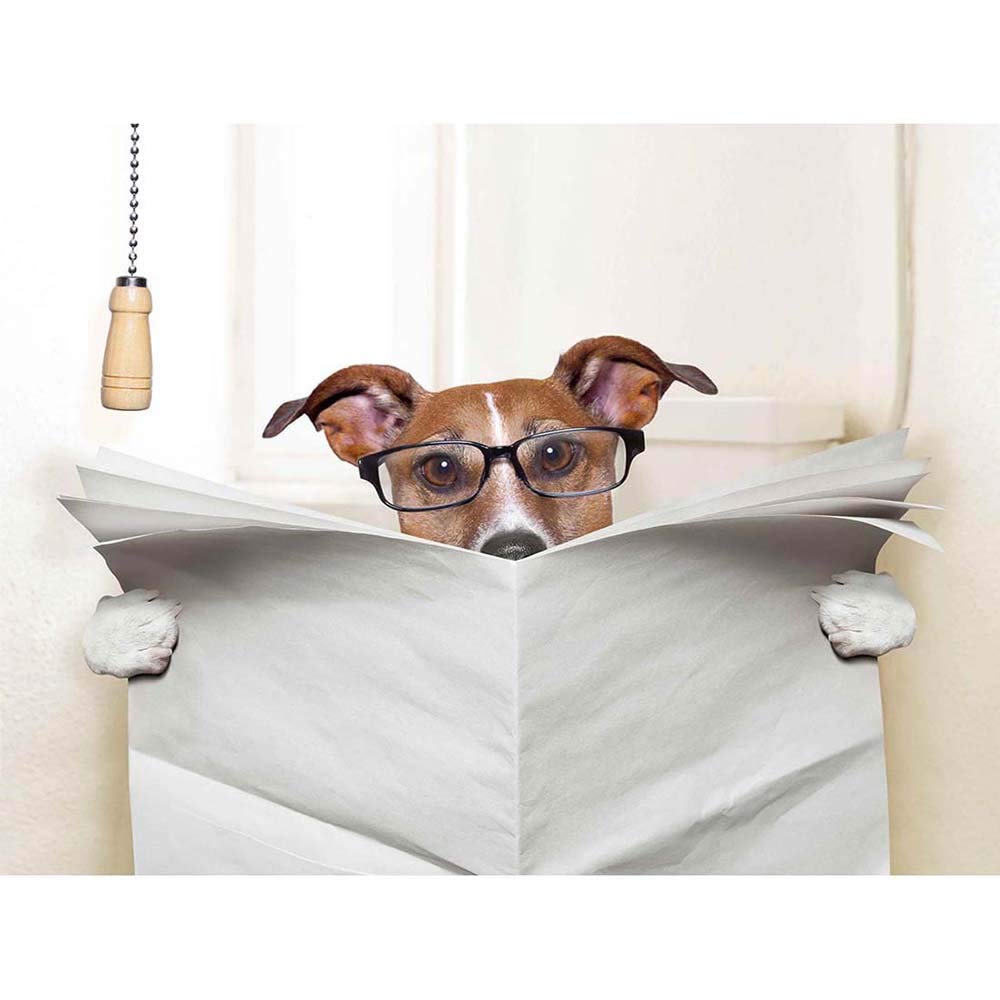 Wee Blue Coo Photograph Composition Jack Russell Newspaper Toilet Funny Art Print Poster Wall Decor 12X16 Inch