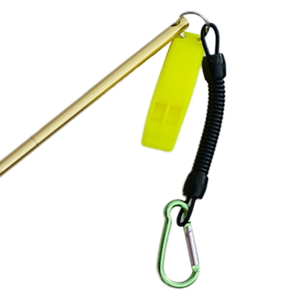D DOLITY 34cm Aluminium Riffstab Unterwasser Tauchen Zeigestab mit Spiralkabel - Gold