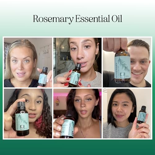 Pure Rosemary Oil for Hair Skin and Nails - 100% Pure Undiluted Rosemary Essential Oil with Dropper for Topical Uses Aromatherapy Diffusing and Home and Beauty DIYs - Vegan and Cruelty Free (1 Fl Oz) - Thumbnail 2