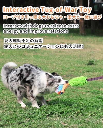 SCHITEC Hundespielzeug, Interaktives Spieltrainingsseil Hunde Spielzeug, Quietschendes Tauziehspielzeug für Welpen, Kleine, Mittlere und Große Hunde