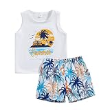 Karwuiio Conjunto de 2 piezas de ropa de verano para bebés y niños pequeños, 3-4 años