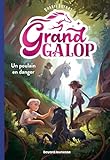  Grand Galop, Tome 07: Un poulain en danger