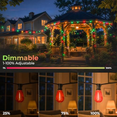 Image of GvvooHome 24 Pack S14 Red and Green Outdoor Light Bulbs for String Lights