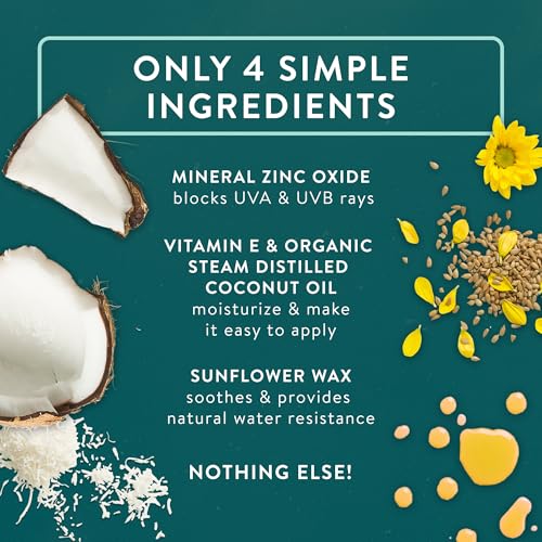 Image of Badger Mineral Daily Sunscreen with Zinc Oxide, SPF 30, Lightweight & Easy to Apply w /No White Cast, Moisturizing Organic Sunscreen, Reef Safe, Vegan, Unscented, 4 fl oz