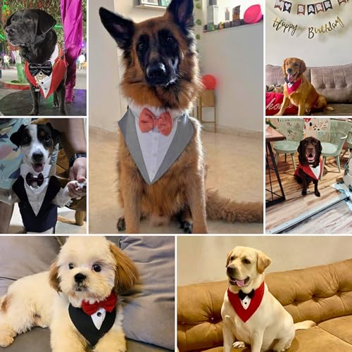 Image of Buraq Premium Dog Wedding Suit, Elegant Tuxedo with Bow Tie & Bandana, Comfortable, Washable Outfit for Dogs (M - Blue)