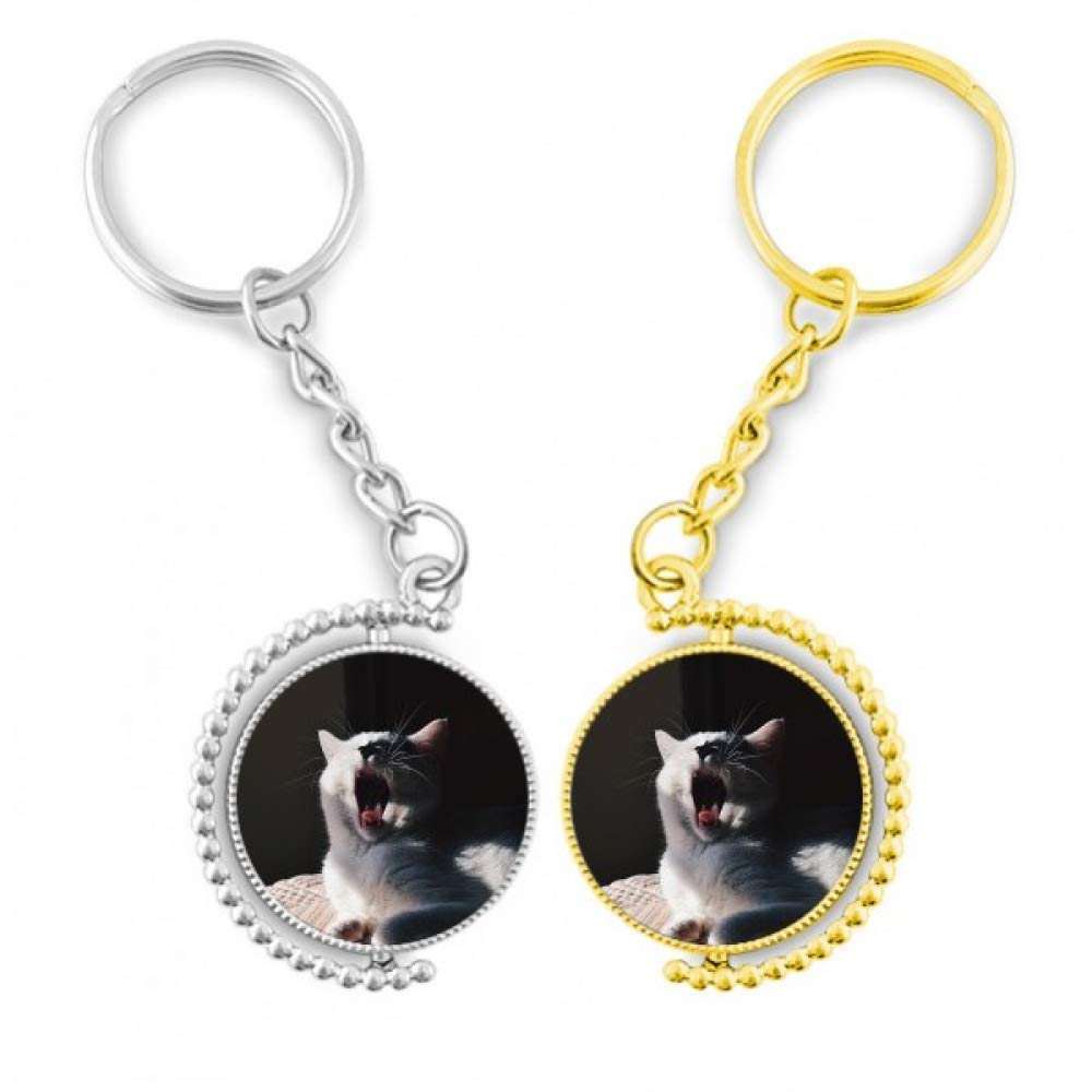 Porte-clés chat photographie dorée pour embellir votre sac à main