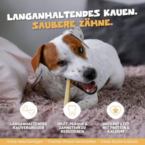 Pets Purest Himalaya-Yak-Milch-Kauartikel 5 Stück - 100% natürliche Käseknochen-Leckerbissen - Für alle Altersgruppen - Lang anhaltender Protein- & Kalzium-Zahnstick - gegen Plaque/Zahnstein