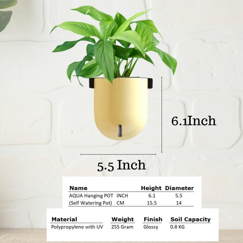 Image of Indian Discovery Self Watering Wall Hanging Planter|Hanging /Hooked Flower Pots for Home, Balcony, Terrace, Garden Decor Flower Pots(1 Pcs, Ivory, Sphere)|6 Inch UV-Resistant Plastic Plant Pots