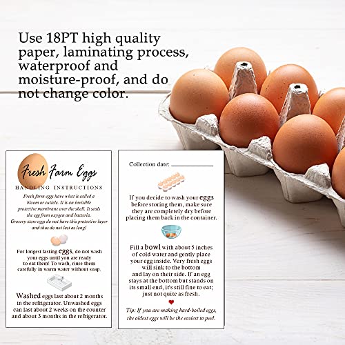 Fresh Farm Eggs Handling Instructions, Fresh Egg Care Card, Egg Handling Instructions For Farm Fresh Eggs, Colored Egg Design Card, 50 Pack 2 X 3.5" Inches Business Card Size #TOP3