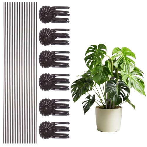 AT|[gXe[N10 Nbv20t O[vX`bNvgT|[gXe[NX ȂY  O A Ag}g [Y A}X 