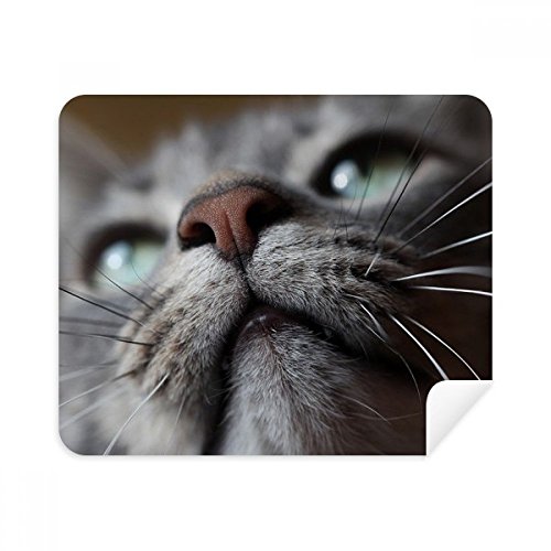 Animal Looking Up Cat Photograph Cleaning Cloth Screen Cleaner 2pcs Suede Fabric