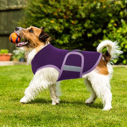 IECOii Beruhigungsweste für Hunde,verstellbare Hunde-Angstjacke mit reflektierenden Streifen,weicher Beruhigungsmantel für Hund, Angstweste für kleine Hund, Beruhigungsjacke für kleine Hunde,Lila, S