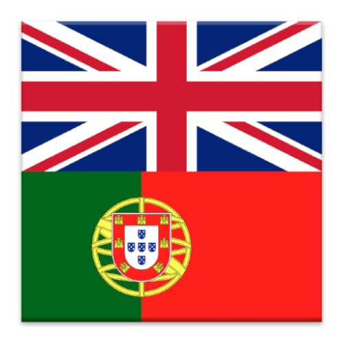 Dicionário Inglês Português Offline