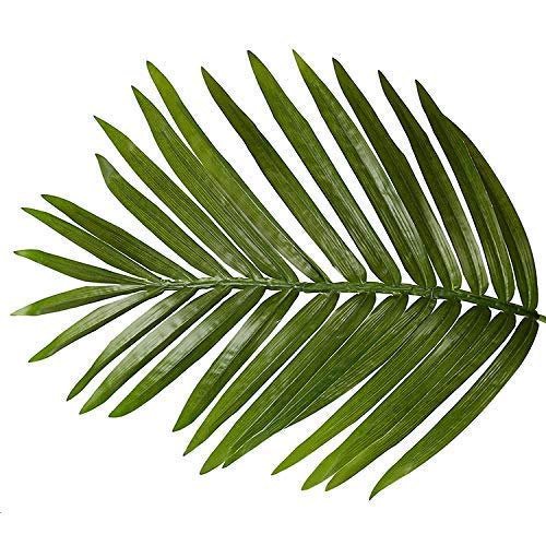 AMERIQUE - Palma Artificiale Da 3 Piedi (ca. 91 Cm) Con Tecnologia Real Touch E Protezione UV, Per Interni Ed Esterni, Tronco Stabile - 4