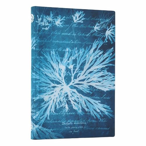 Sea Flowers Mini Lined Softcover Journal, 208pg, 80GSM, Treasures of The New York Public Library by Paperblanks (Anna Atkins' Cyanotypes)