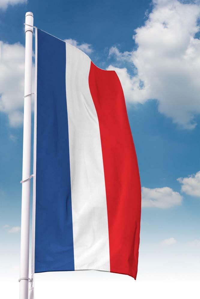 Deitert Bundesland-Flagge Schleswig-Holstein – 150x400 cm Schleswig-Holstein Fahne ohne Wappen im Hochformat, Hissfahne aus reißfestem Polyester