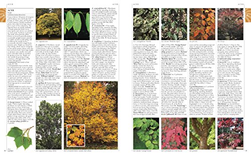 Image of RHS A-Z Encyclopedia of Garden Plants 4th edition