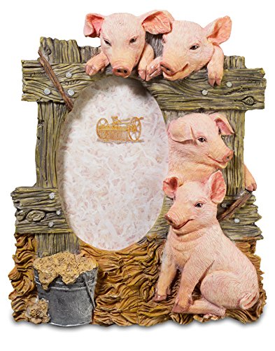 Preisvergleich Produktbild Katerina Prestige na0805 Bilderrahmen Schweine Eimer