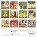 Ashmolean Museum: Indian Art Mini Wall Calendar 2027 (Art Calendar)