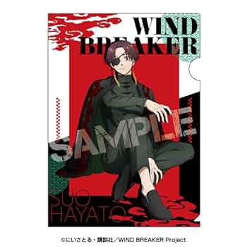 WIND BREAKER ウィンブレ　蘇枋隼飛 515zF5kE48L._UF350,350_QL50_.jpg