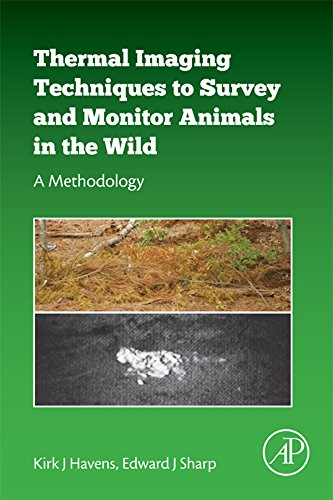 Thermal Imaging Techniques to Survey and Monitor Animals in the Wild: A Methodology