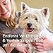 BEAPHAR - Sensitiv Tränenfleckentferner Für Hunde Und Katzen - Entfernt Sanft Hartnäckige Tränenflecken - Mit MSM (MethylSulfonylMethan) - Besonders Mild Und Reizarm - Ohne Alkohol - 50 ml