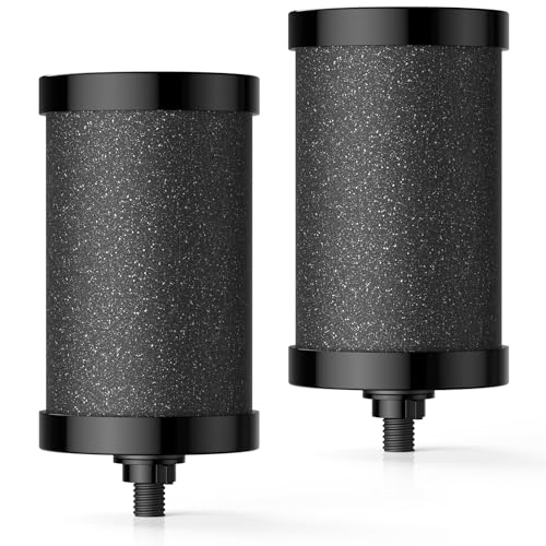 2387 Pro Filter Replacement NSF Certified for Alexapure 2387 Pro Water Filter 5 000 Gallon Throughput Capacity Compatible with Alexapure Pro Water Filtration System 2 Pack Black
