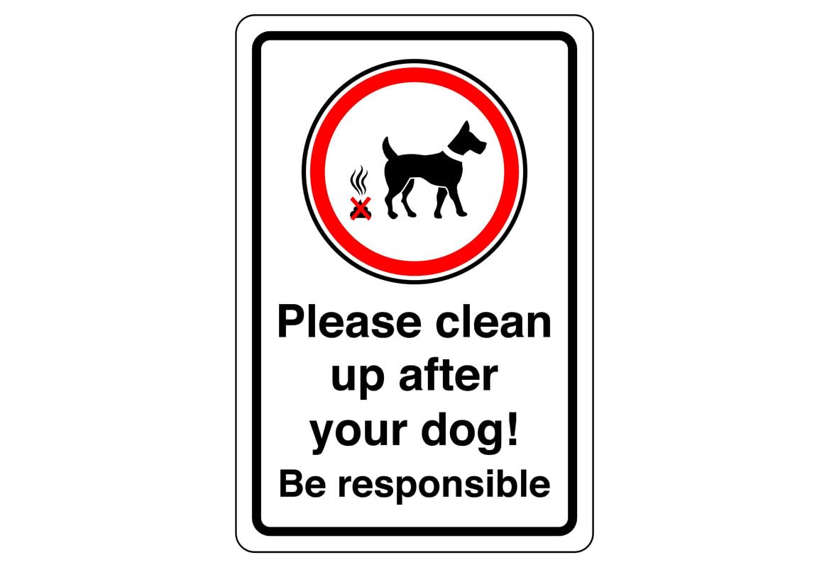 Safety First Display Ltd White/Black Please Clean Up After Your Dog! Be Responsible - High Tack Self-Adhesive Sticker (300Mm X 200Mm) Viewing Distance Within 7M.