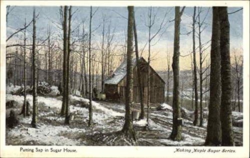 Putting sap in sugar house Vermont VT Original Antique Postcard