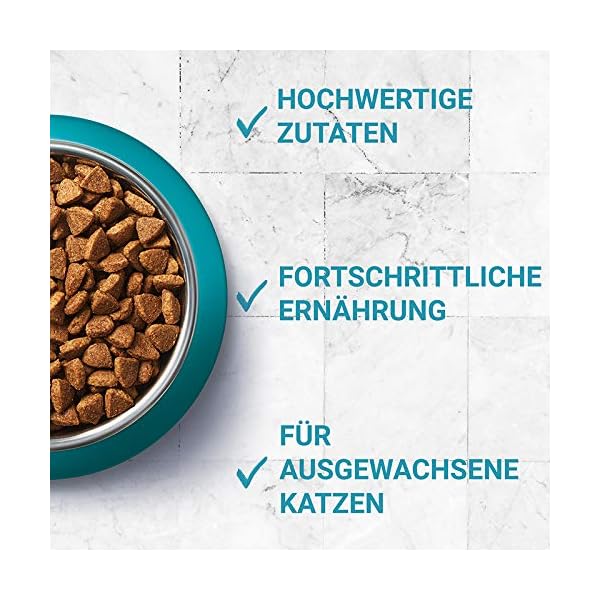 PURINA ONE BIFENSIS Adult Katzentrockenfutter: reich an Huhn, stärkt natürliche Abwehrkräfte, für gesunde Knochen, Haut, Zähne & Harnwege I ab 1 Jahr – Bild 10