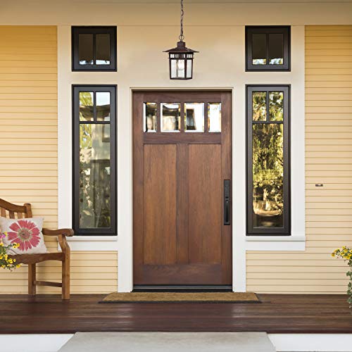 Image of Nuvo Lighting 60 /4955 Traditional One Light Hanging Lantern from Cove Neck collection in Bronze /Dark finish